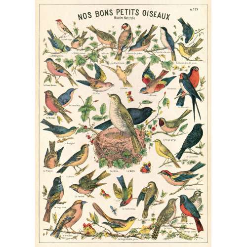 Affiche, Poster, les Oiseaux - CAVALLINI