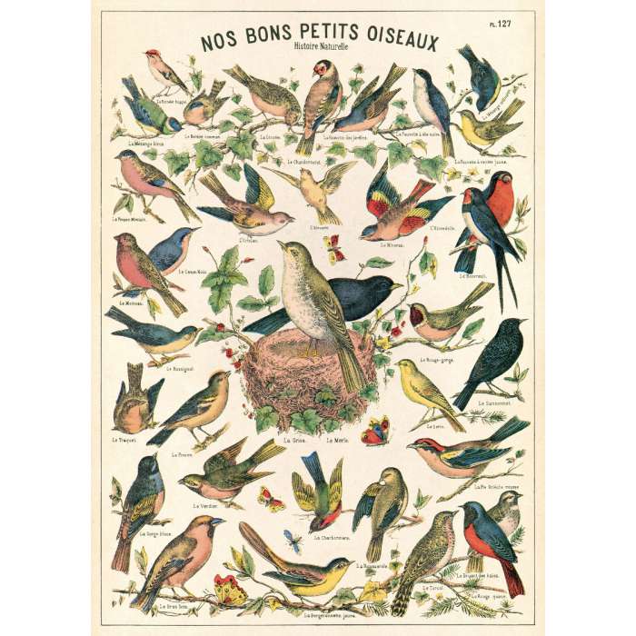 POSTER AFFICHE VINTAGE, Les oiseaux