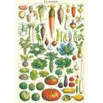 Affiche, Poster, Les Légumes du jardin