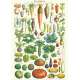 AFFICHE, POSTER, LES LEGUMES DU JARDIN 