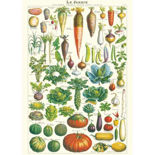 AFFICHE, POSTER, LES LEGUMES DU JARDIN 