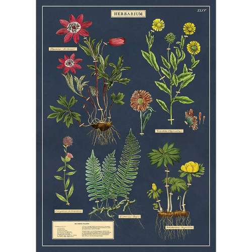 Affiche, Poster, l'Herbier Ancien