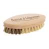 Brosse à Légumes en bois, naturel , REDECKER