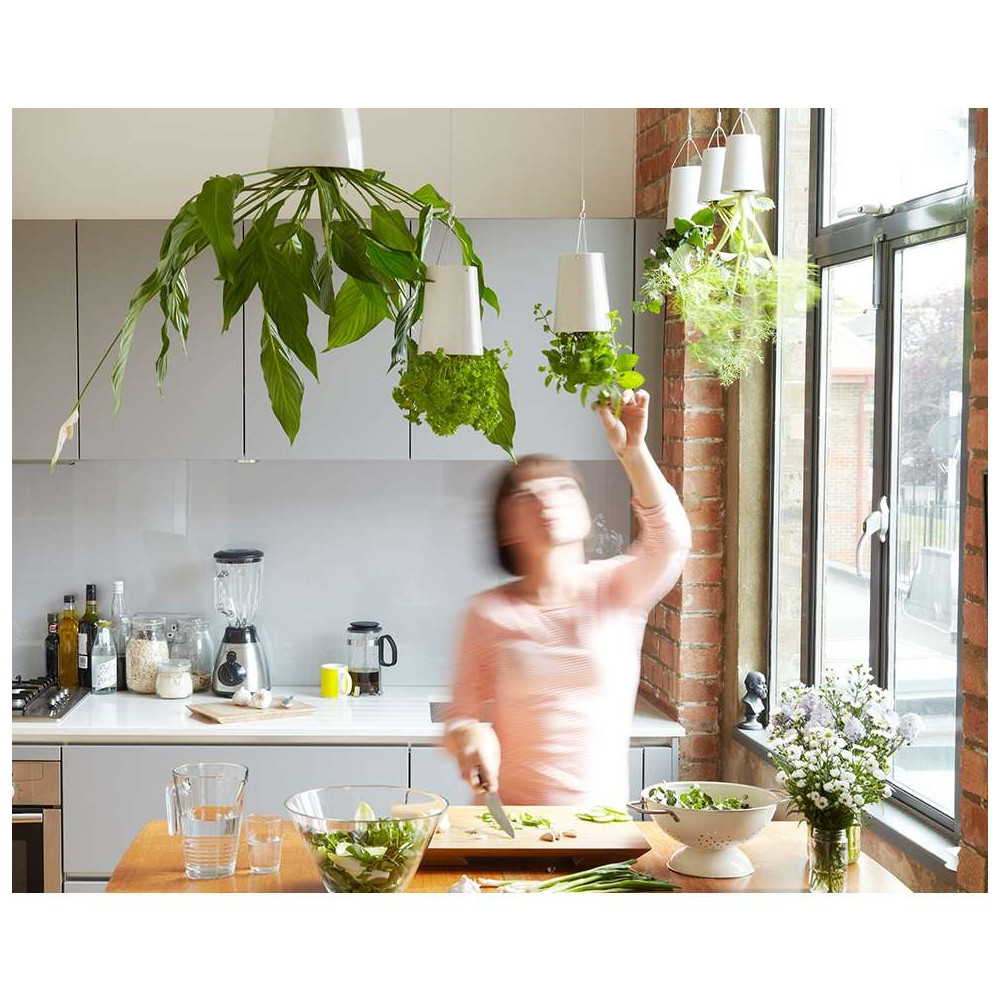 Sky Planter, Pot de fleurs suspendu auto-arrosant