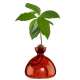 Vase pour Pousse d'Avocat, Germination Design