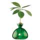 Vase pour Pousse d'Avocat, Germination Design