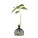Vase pour Pousse de chêne, Germination Design