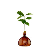 Vase pour Pousse de chêne, Germination Design