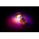 Ampoule à LED Rechargeable, Arc en Ciel, déco