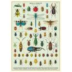 Les Insectes, Poster Affiche Vintage - Cavallini