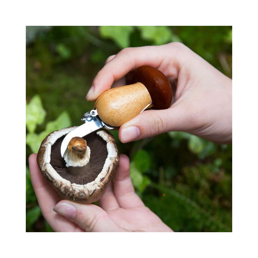 Couteau à Champignons, Brosse, Porte clés