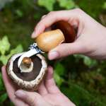 Couteau à Champignons, Brosse, Porte clés