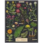 Puzzle 1000pc, Herbier, fleurs ,CAVALLINI