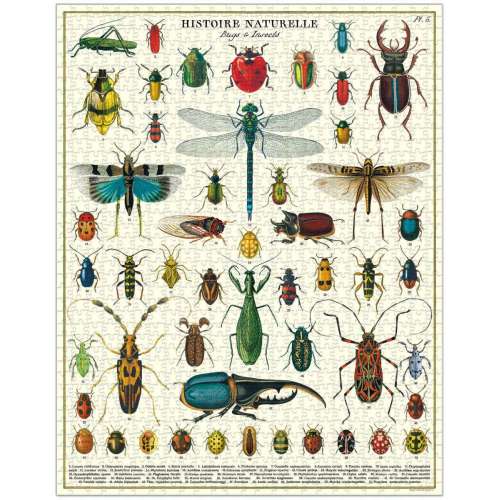 Puzzle 1000pc, Les Insectes, vintage ,CAVALLINI