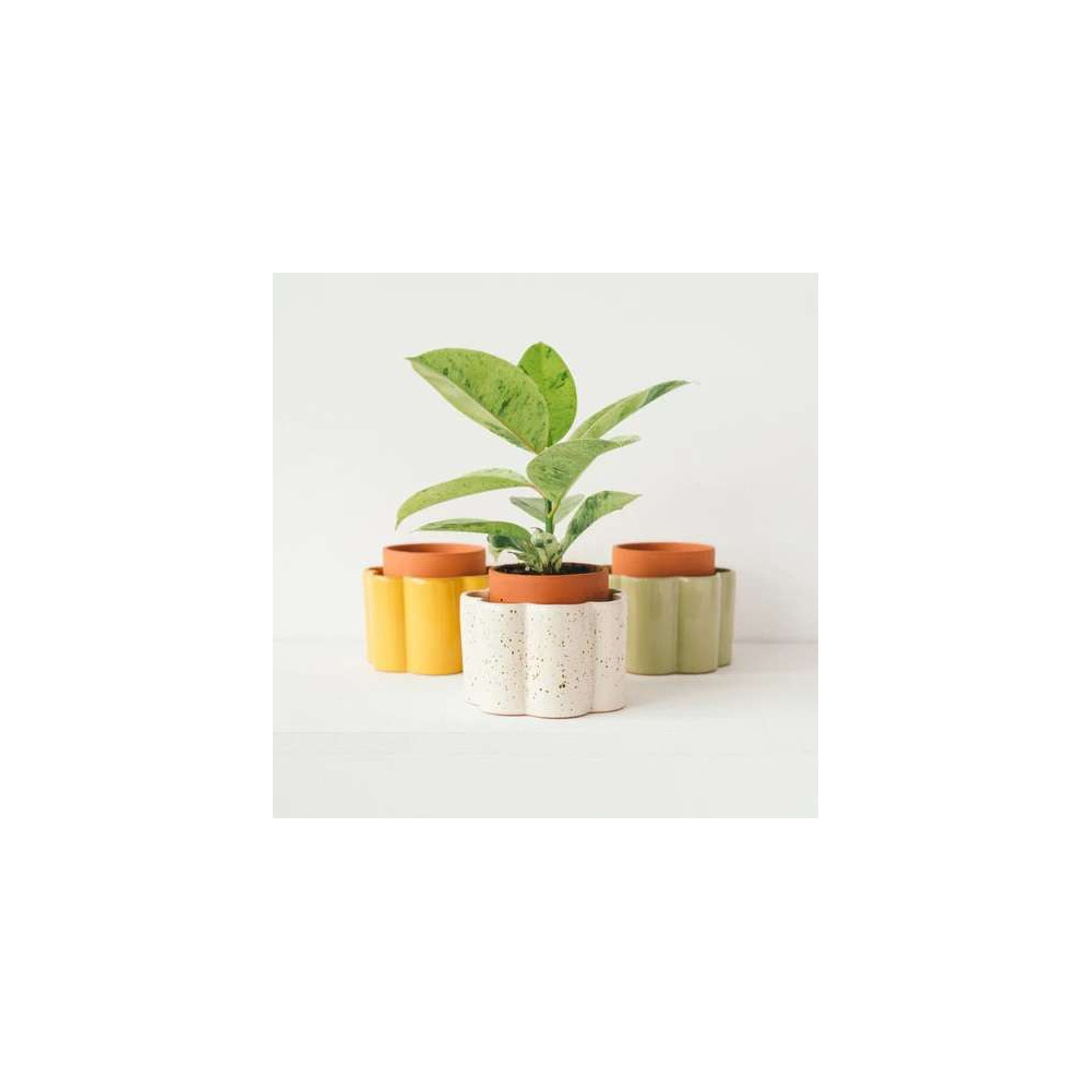 Pot autonome pour plante d'interieur, Paula