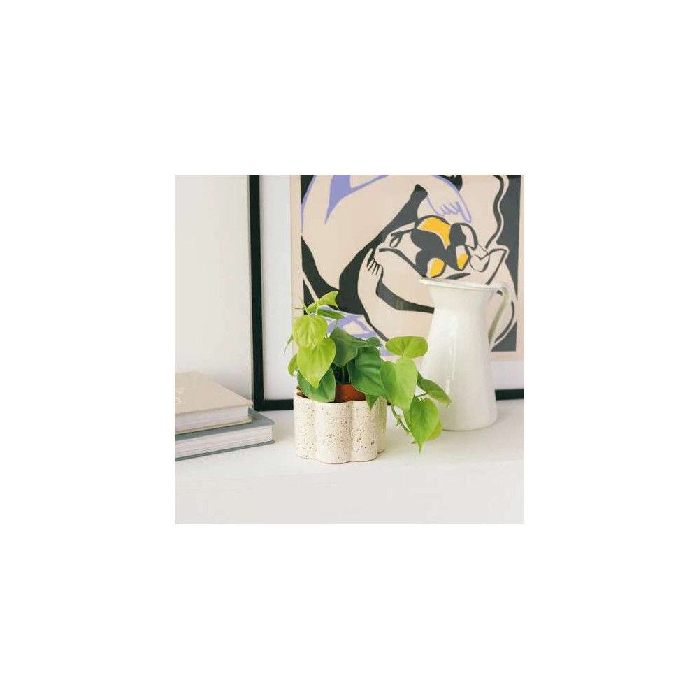 Pot autonome pour plante d'interieur, Paula