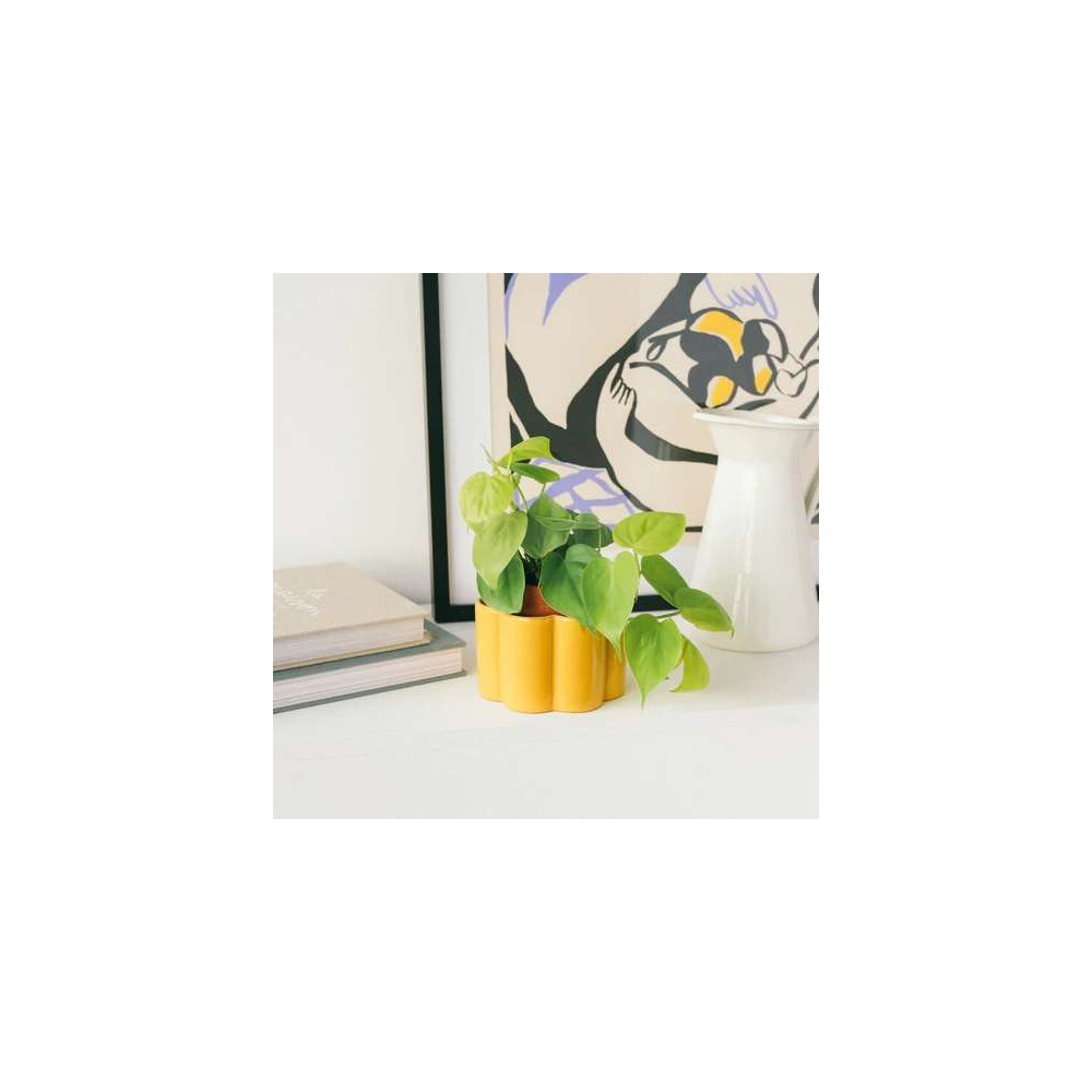 Pot autonome pour plante d'interieur, Paula