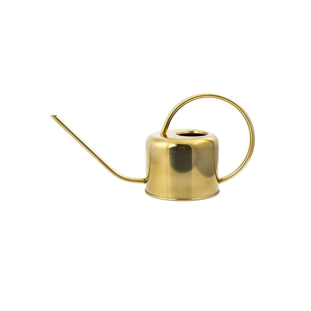 Arrosoir Vintage pour vos Plantes d'Intérieur, Inox