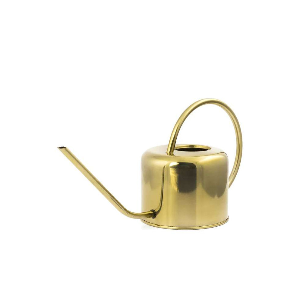 Arrosoir Vintage pour vos Plantes d'Intérieur, Inox