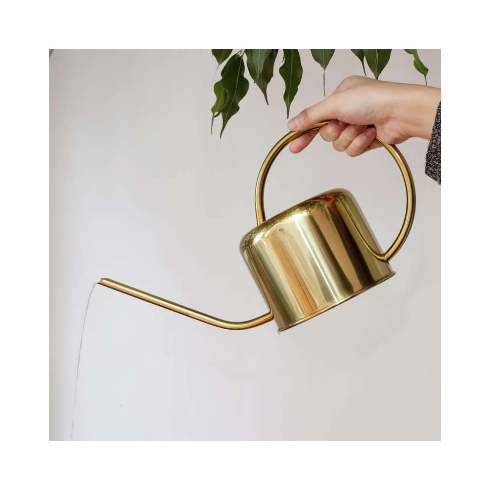 Arrosoir Vintage pour vos Plantes d'Intérieur, Inox