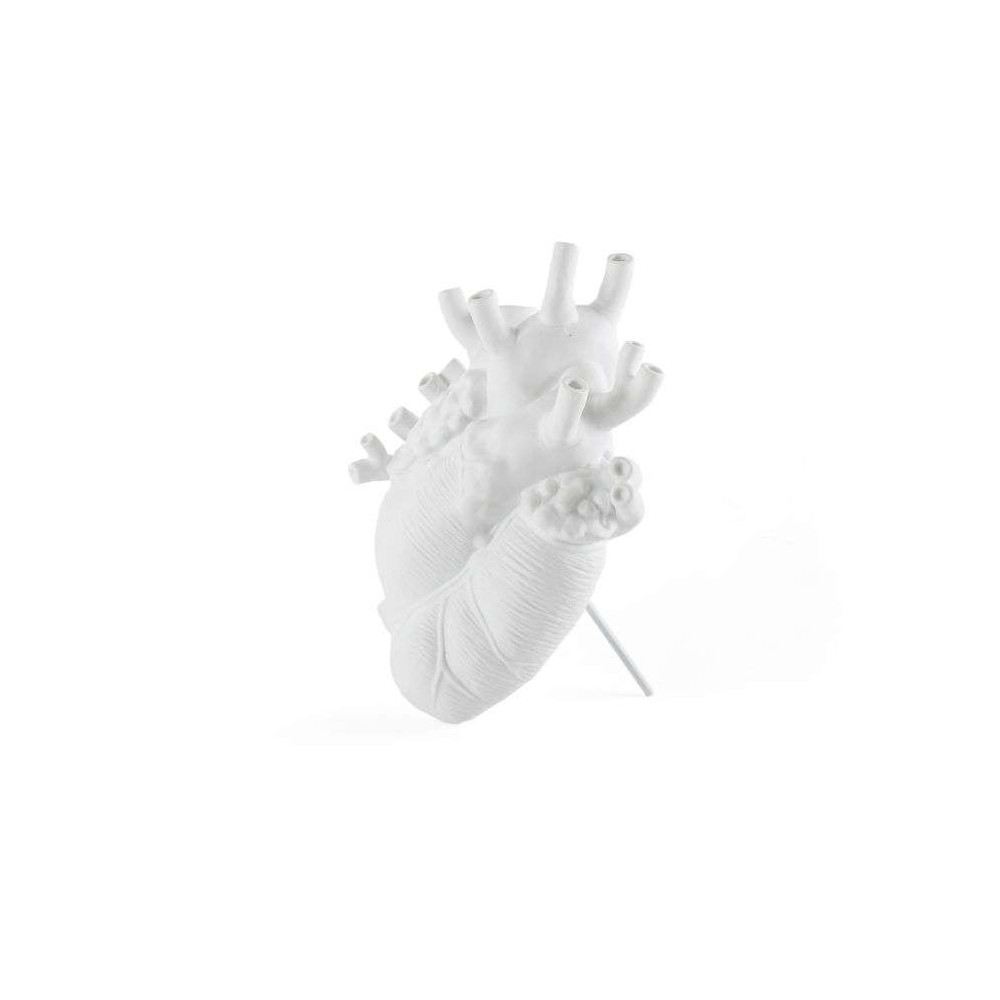 Vase Coeur Anatomie, Love In Bloom , Seletti