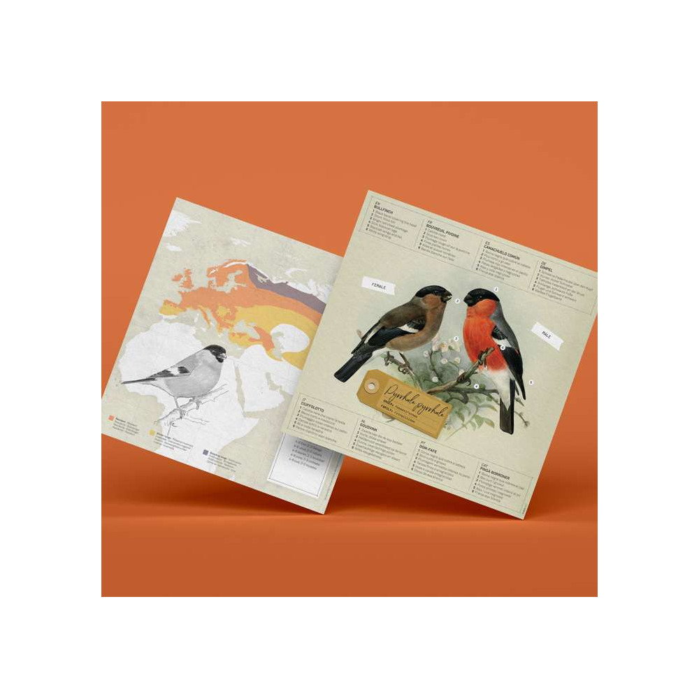 Oiseaux en Papier, 3D à Monter soi-même