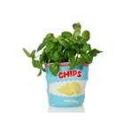 Sac à Chips en céramique, Cache pot, Apéro