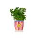 Sac à Pop Corn en Céramique, Cache pot, Apéro
