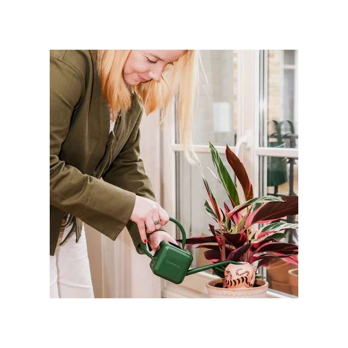 Olla, Réservoir d'eau, Arrosage autonome