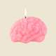 Bougie Cerveau Rose, Curiosité