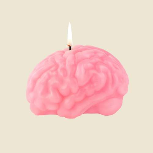 Bougie Cerveau Rose, Curiosité