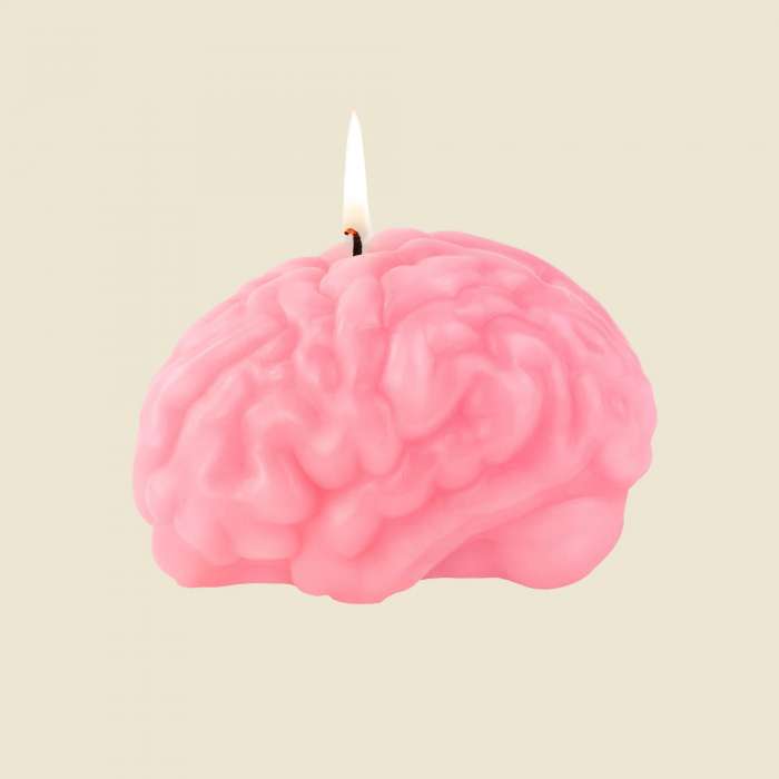 Bougie Cerveau Rose, Curiosité