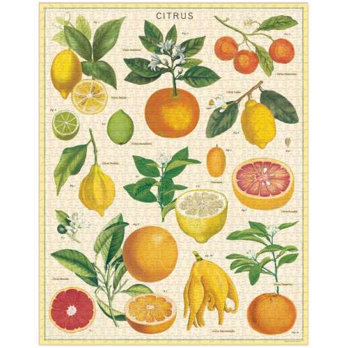 Puzzle 1000pc, Citrons, variétés, Vintage ,CAVALLINI