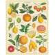 Puzzle 1000pc, Les citrons, vintage ,CAVALLINI