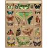 Puzzle 1000pc, Les Papillons, Entomologie, vintage ,CAVALLINI