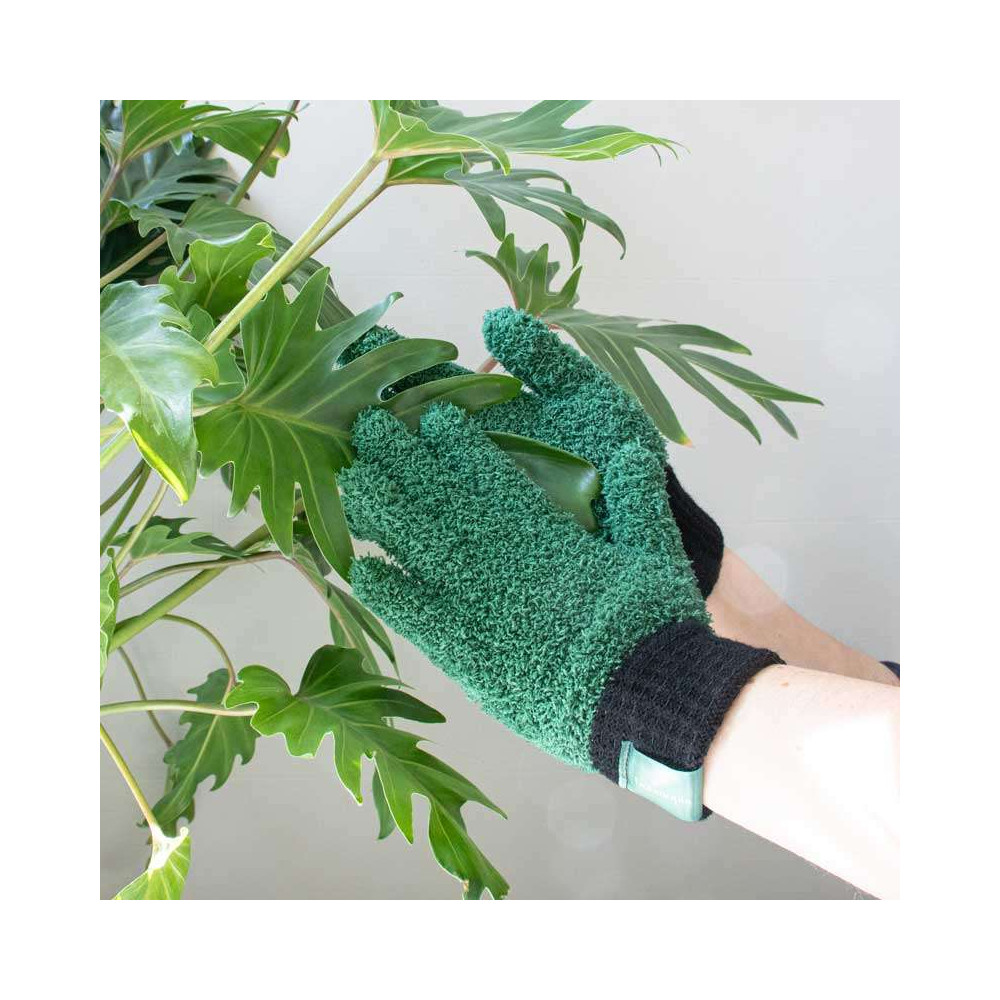Gants Dépoussiérant pour Plante Verte