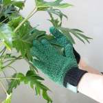 Gants Dépoussiérant pour Plante Verte