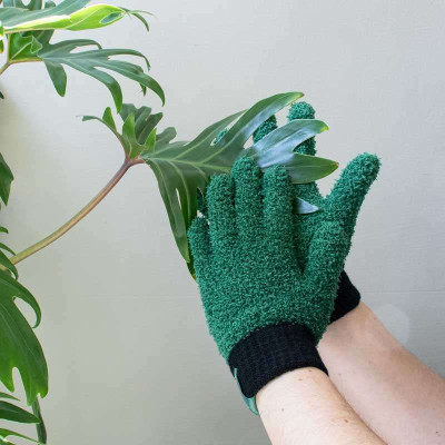 Gants Dépoussiérant pour Plante Verte
