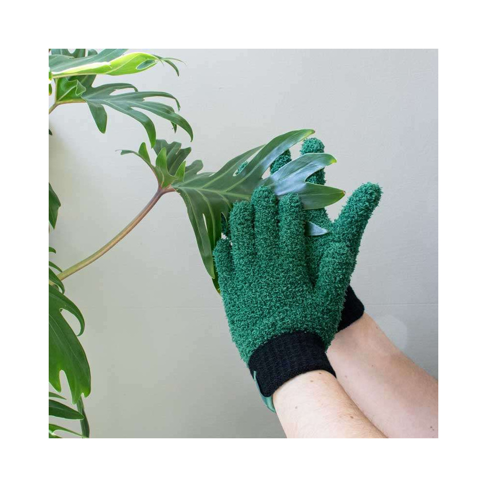 Gants Dépoussiérant pour Plante Verte