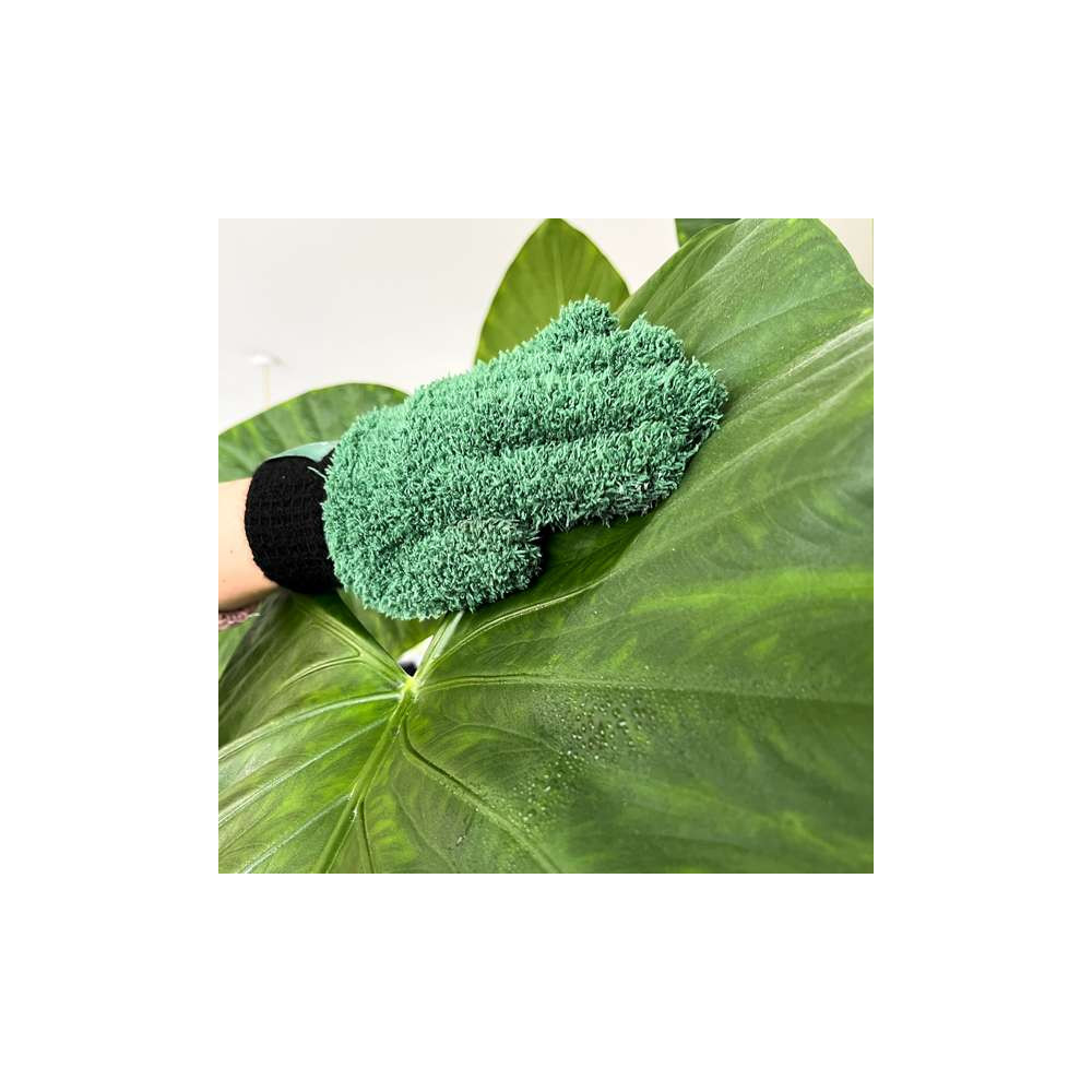 Gants Dépoussiérant pour Plante Verte
