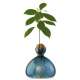 Vase pour Pousse d'Avocat, Germination Design