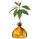 Vase pour Pousse de chêne, Germination Design