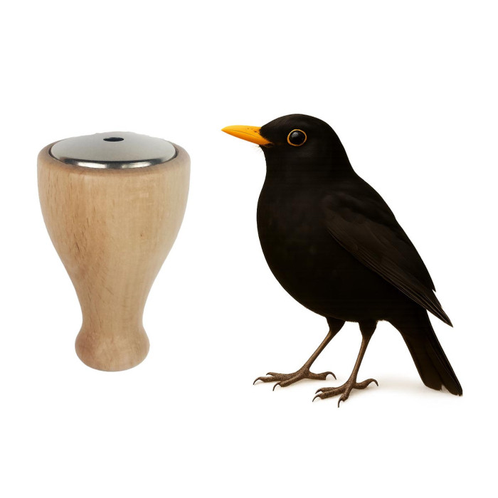 Appeaux Merle Noir, Parle aux oiseaux