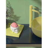 Brain Wash, Porte Savon Crane et Cerveau / ROSE BUNKER