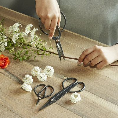 Set de 3 Ciseaux de Jardin et plantes d'intérieur, Bonzaï / ROSE BUNKER
