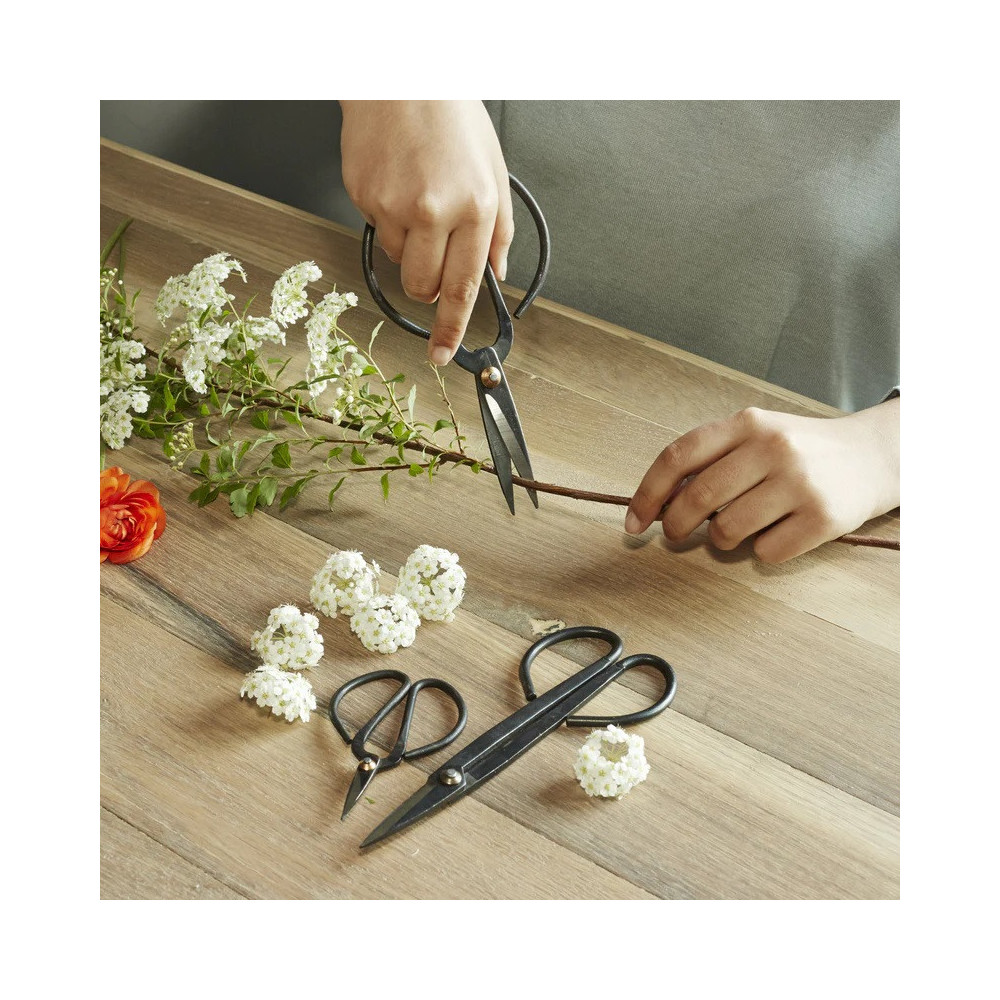 Set de 3 Ciseaux de Jardin et plantes d'intérieur, Bonzaï / ROSE BUNKER