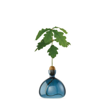 Vase pour Pousse de Chêne, Germination Gland Design  / ROSE BUNKER