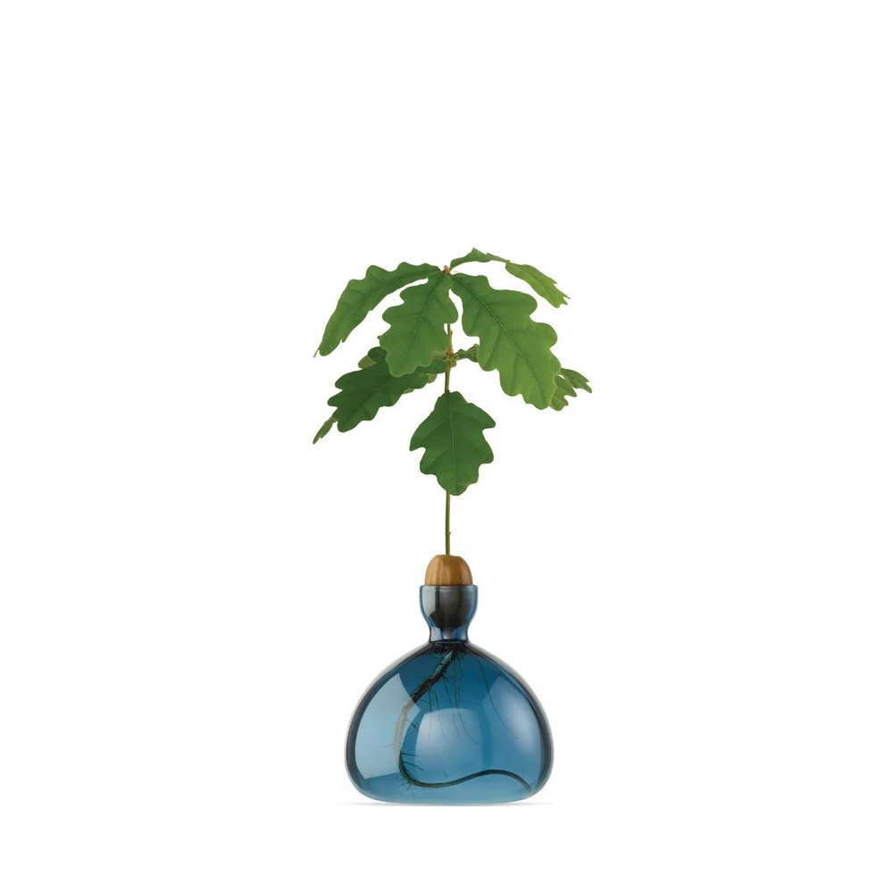 Vase pour Pousse de Chêne, Germination Gland Design  / ROSE BUNKER