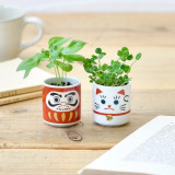 Kit de culture Trèfle Porte-Bonheur, Maneki-neko, Japon  / ROSE BUNKER
