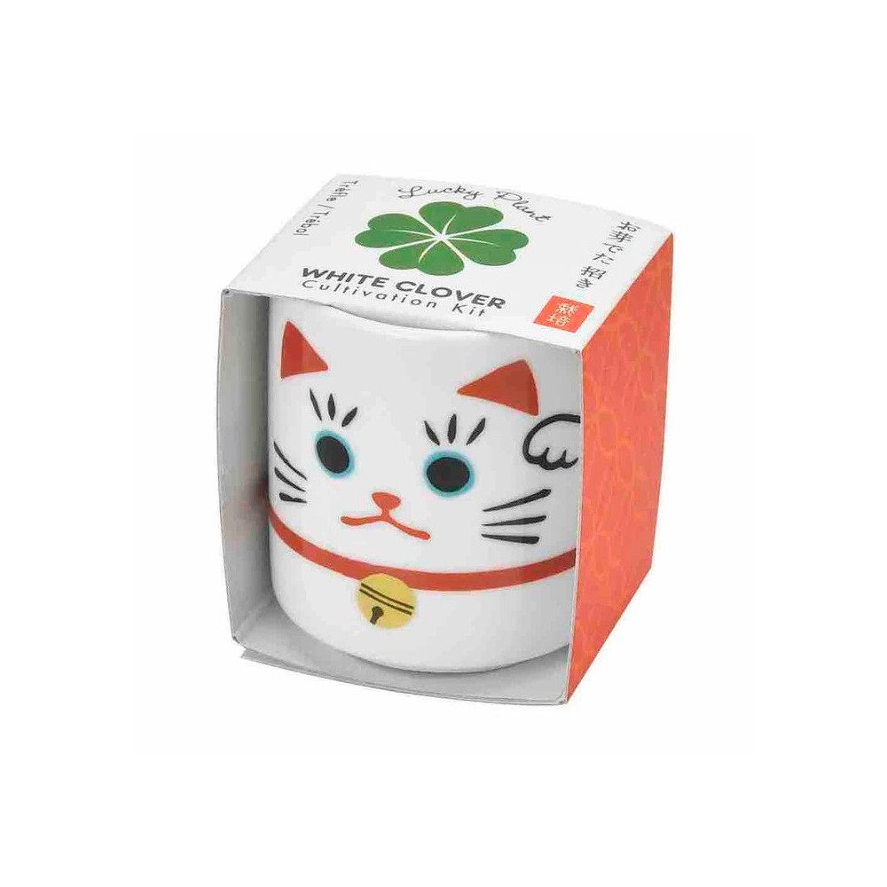 Kit de culture Trèfle Porte-Bonheur,  Maneki-neko